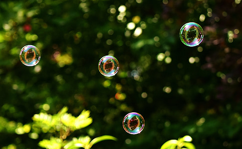 shallow focus photography of bubbles