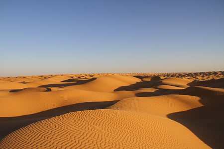 sand field