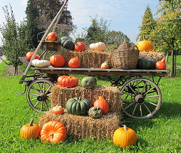 pumpkin lot on brown wooden carriage during daytime