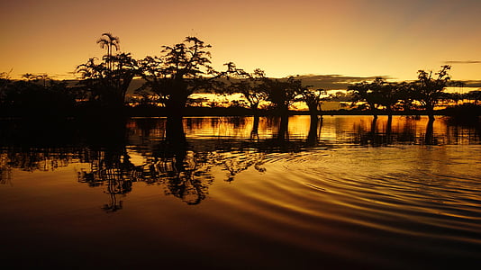 silhouette of trees with reflection on water during golden hour photo
