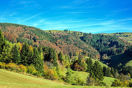 green tree covered hills under blue sky