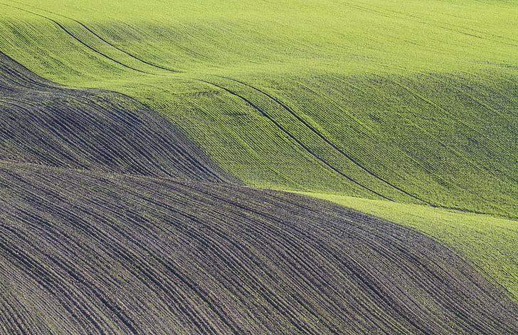 green and gray fields