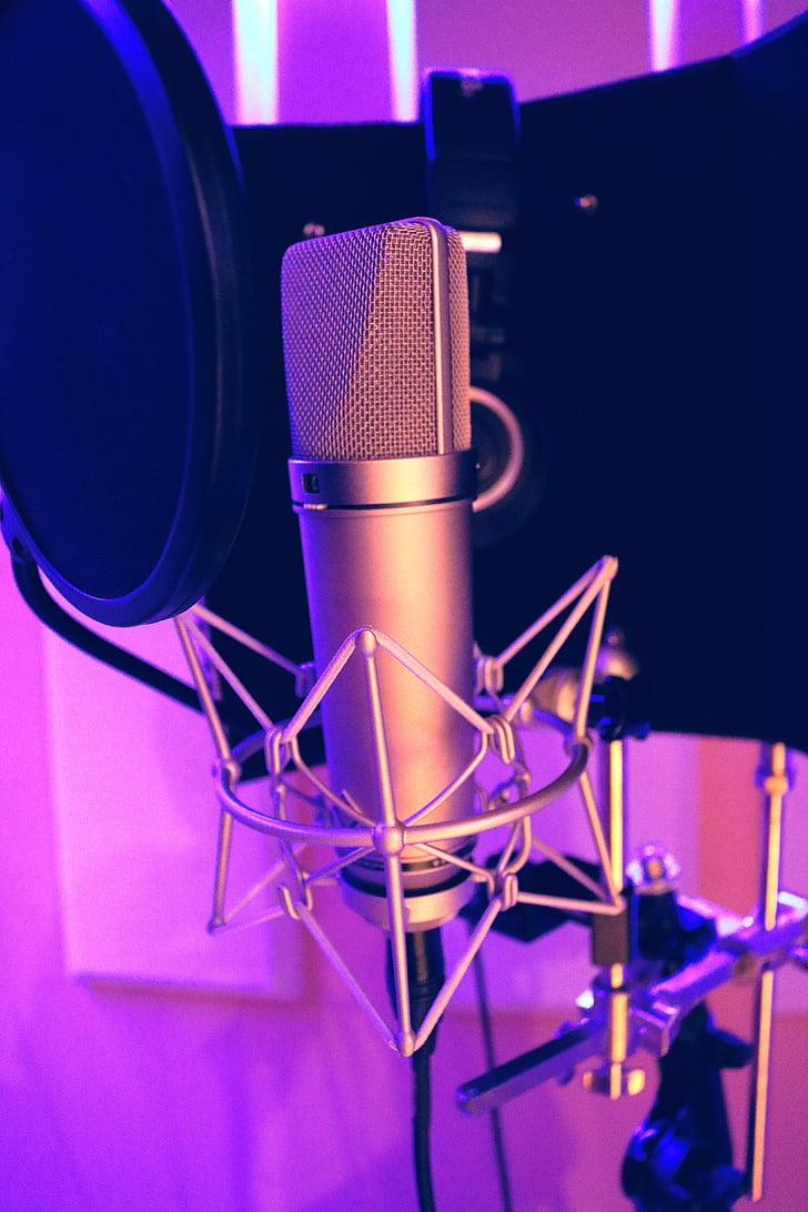 closeup photo of silver condenser microphone with pop filter
