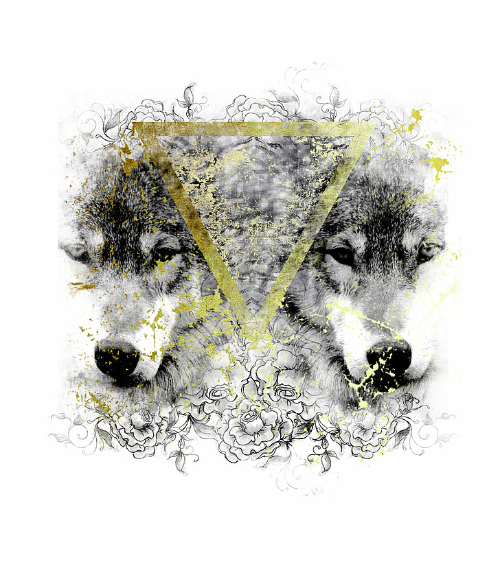 two black and white wolf illustration