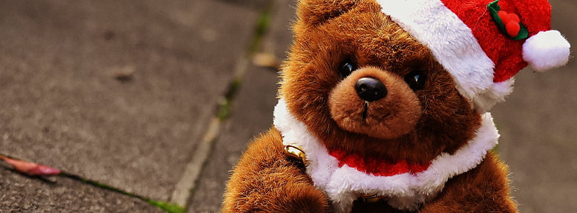 bear plush toy with santa hat