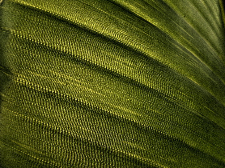 closeup of green textile