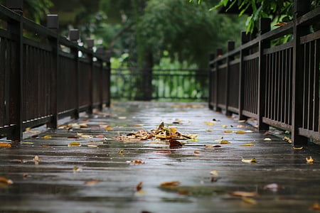 shallow focus photography of bridge railings during daytime