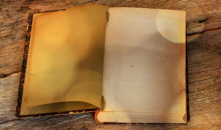 blank book page on brown surface