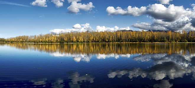 landscape photography of body of water surrounded by trees