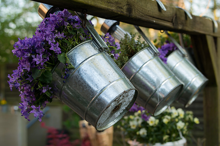 purple flowers in silver buckets