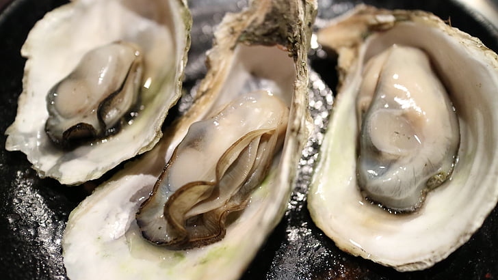 photo of three oysters