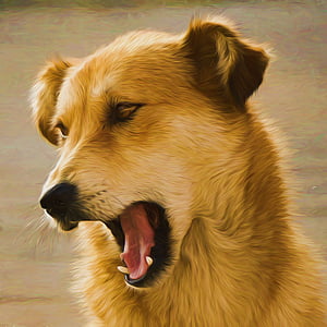 long-coated brown dog artwork painting
