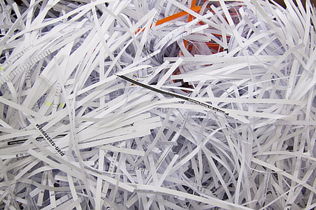white shredded paper scraps