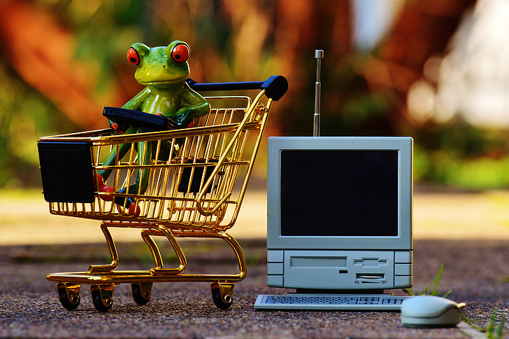 red eye tree frog in shopping cart