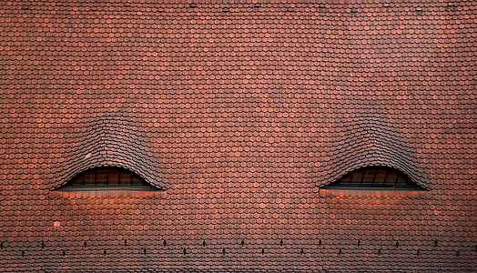 brown house roof