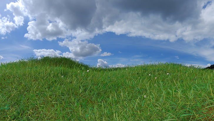 green grass field under cloudy sky during daytime