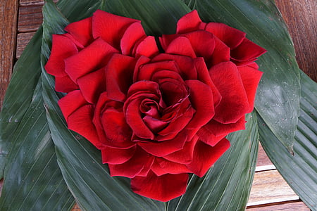 red roses centerpiece close up photo