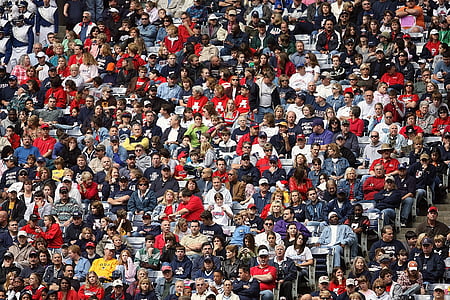 crowd, sports fans, spectators, stadium, people, sporting event