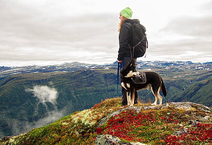 man and husky standing at top of mountain during daytime
