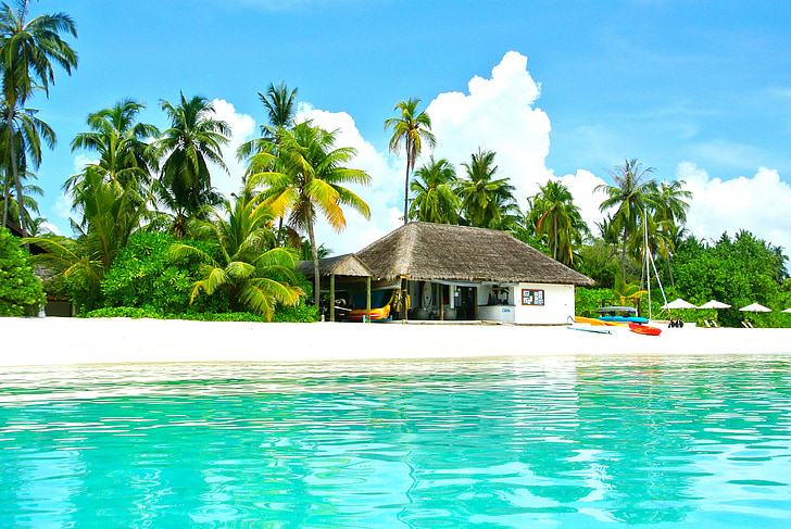 brown and white house on seashore beside coconut trees near green calm sea