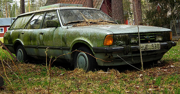 green station wagon covered in moss next to brown tree