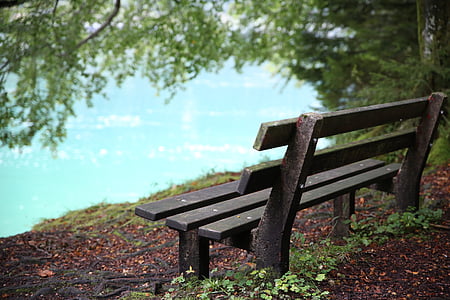shallow focus photography of brown bench