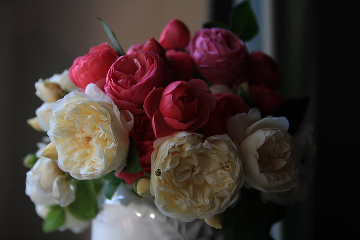 selective focus photography of white and red roses