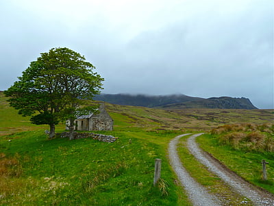gray concrete house near green tree with stony pavement at distance during daytime