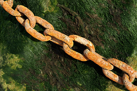 brown steel chain on green surface