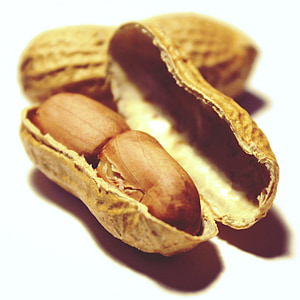 closeup photography of brown peanuts