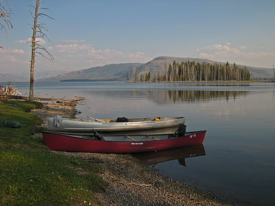 gray speedboat on body of water