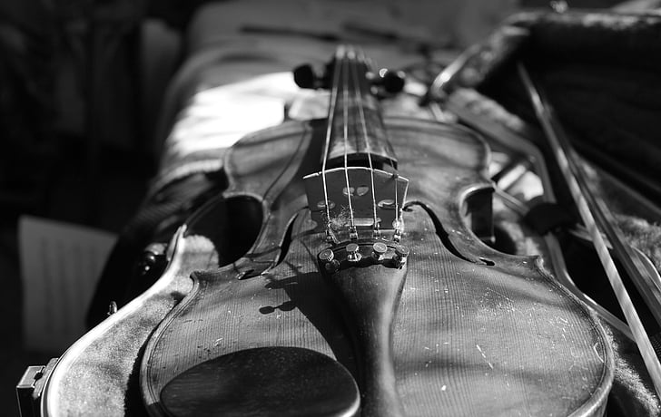 gray scale photo of violin
