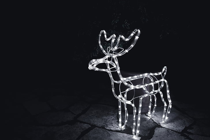 white string light deer