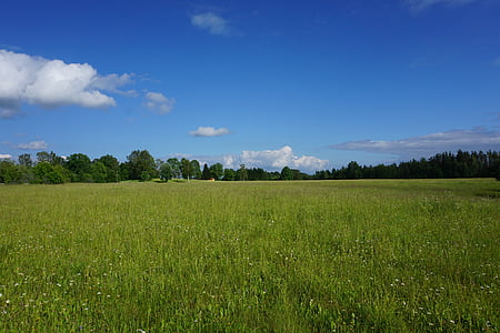 green field horizon