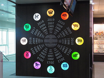 black and multicolored zodiac chart