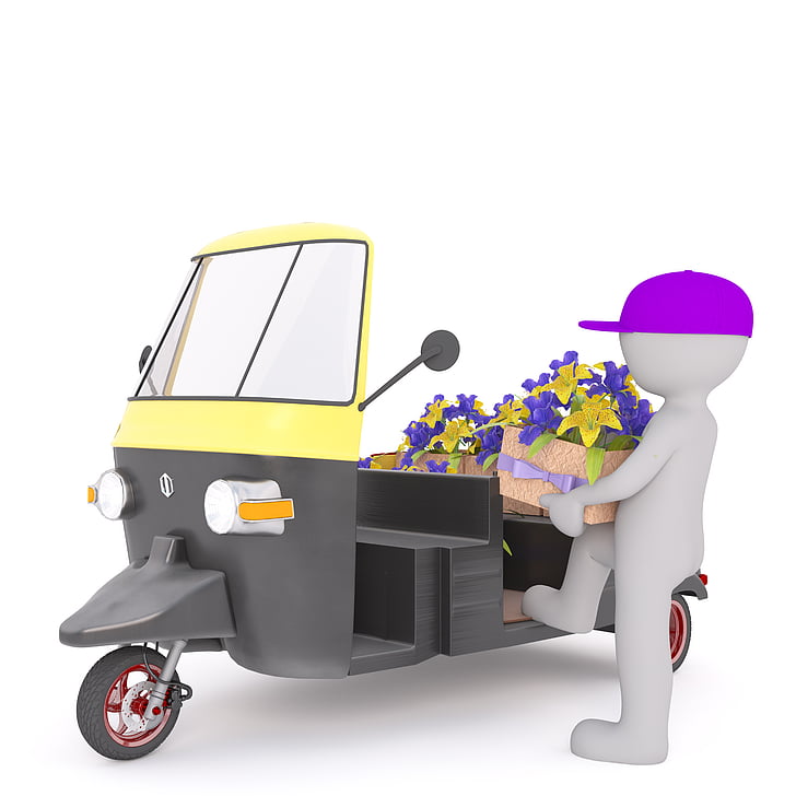 man riding auto rickshaw with petaled flowers illustration