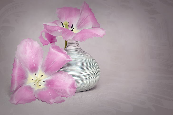 pink flowers with white vase