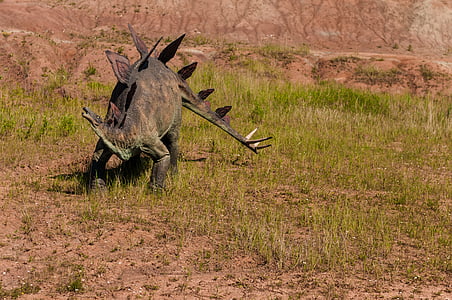 gray dinosaur on green grass field