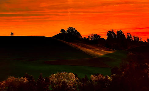 illustration of hill landscape during dawn