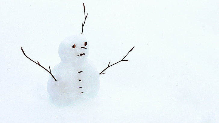 snowman with twig arms