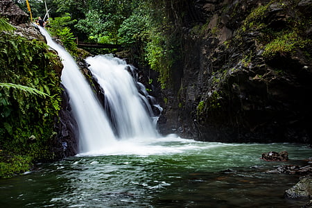 photograph of waterfalls surround green plants