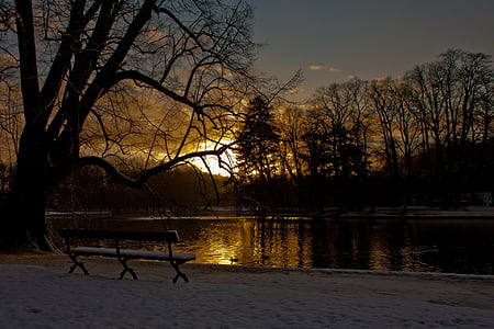 bench facing the lake