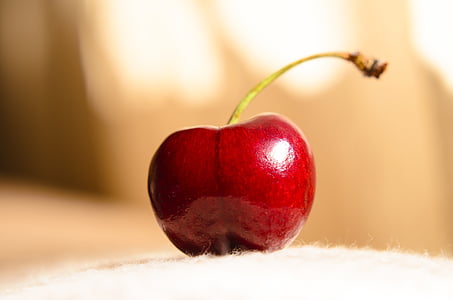 shallow focus photo of red cherry