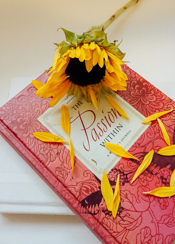 Sunflower on red book