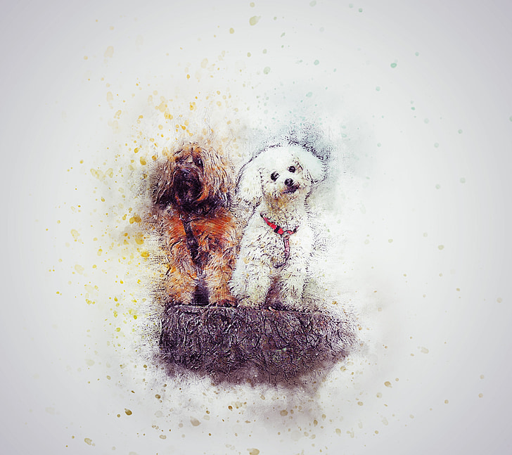 white and brown puppies painting