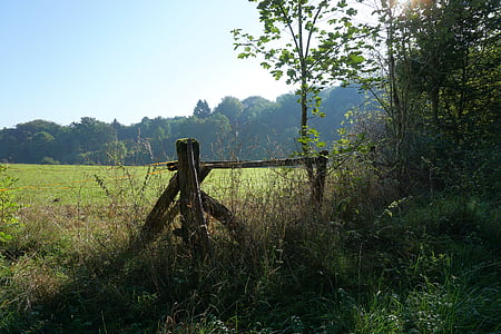 brown wooden stand on field of grass
