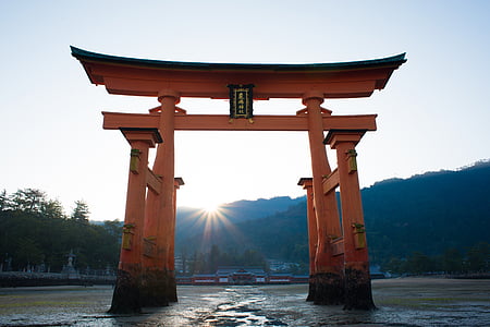 orange and black wooden Torii Gate, Japan at daytime