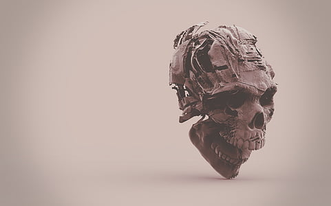 gray decaying skull photography