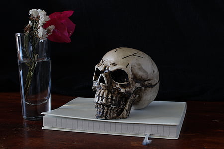 human skull figurine on top of book