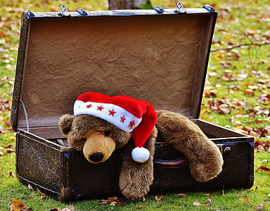 brown bear plush toy in luggage bag